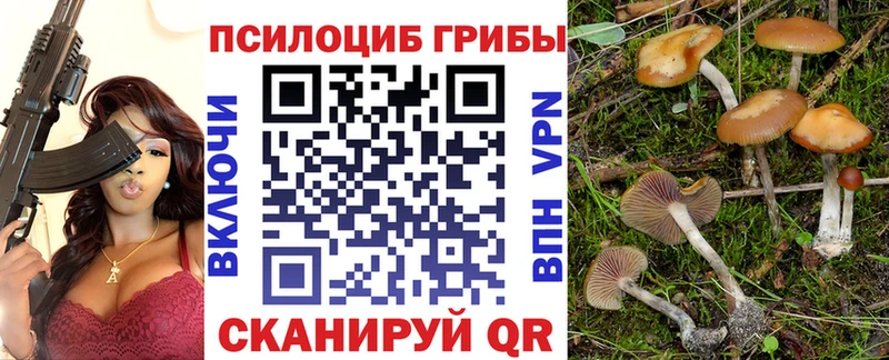 Псилоцибиновые грибы Cubensis  купить наркотики цена  Енисейск 